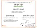 Types Releases iMusician
