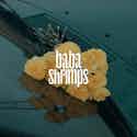 Baba Shrimps album