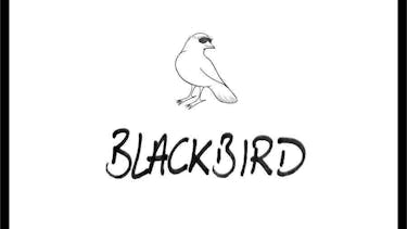 FRATTA Blackbird FRATTA Blackbird Album