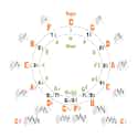 The Circle of Fifths Diagram iMusician