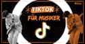 TikTok fuer musiker guide imusician und TikTok logo