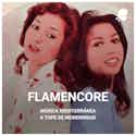 Flamencore playlist imusician