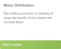 iMusician Music Distribution platform