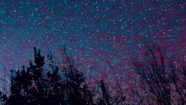 U.Sine Blossoming Galaxies Artwork