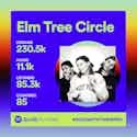 Spotify Wrapped Elm Tree Circle